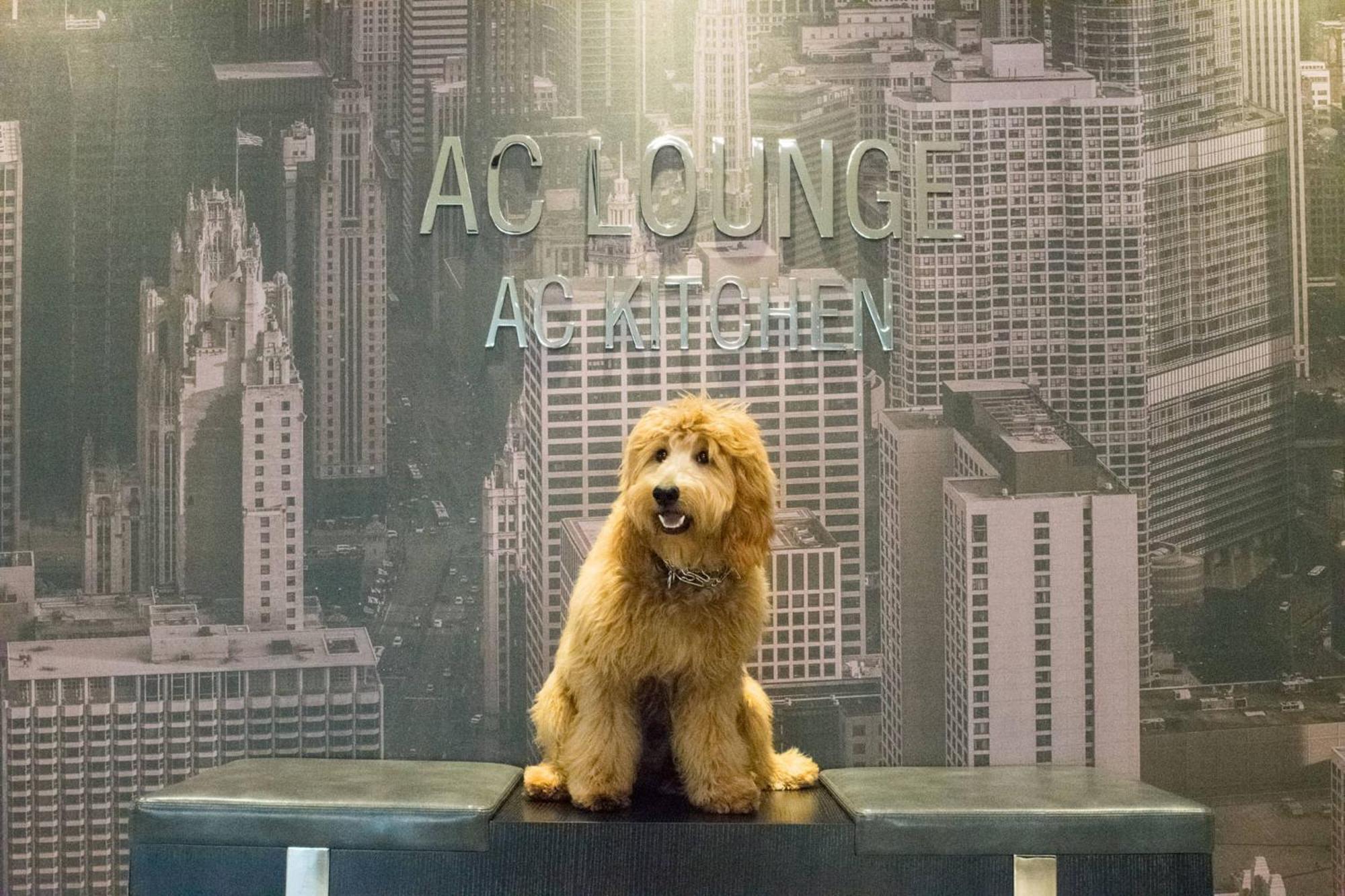 Ac Hotel Chicago Downtown Εξωτερικό φωτογραφία